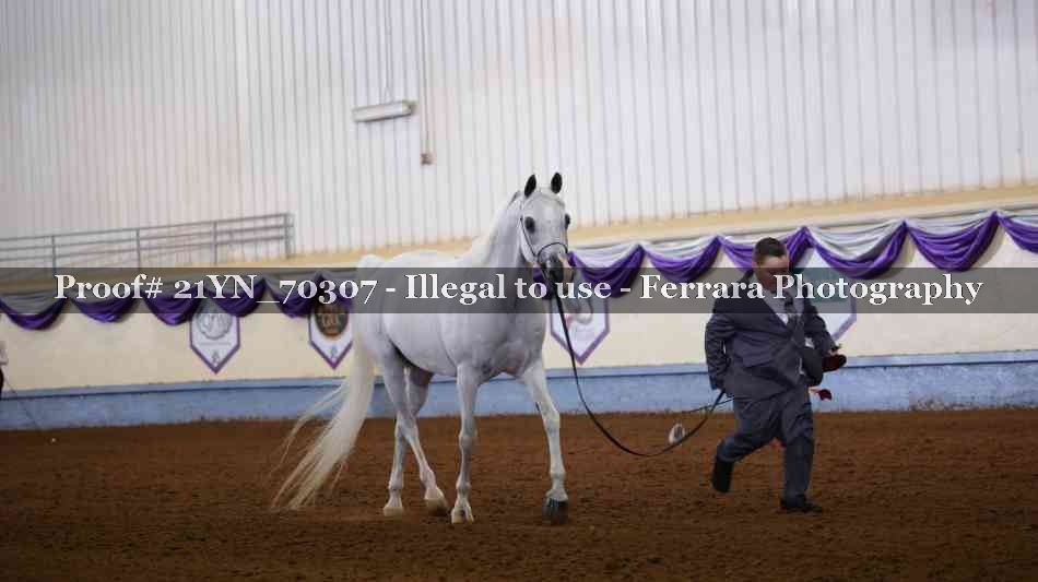 Proof 21YN_70307