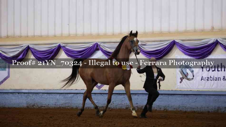 Proof 21YN_70324