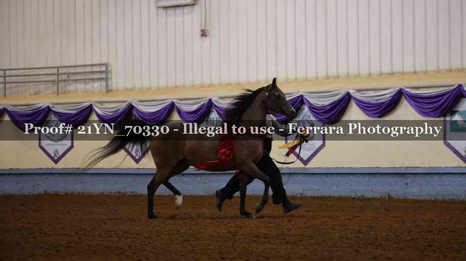 Proof 21YN_70330
