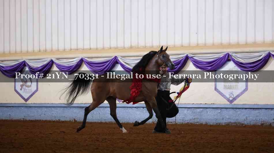 Proof 21YN_70331