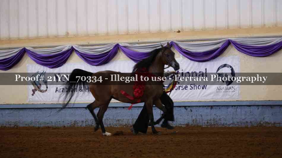 Proof 21YN_70334