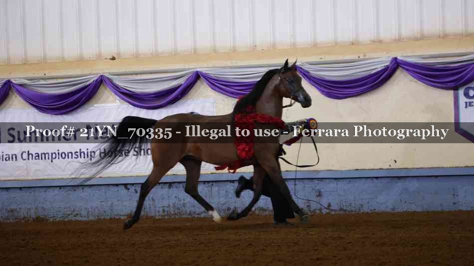 Proof 21YN_70335