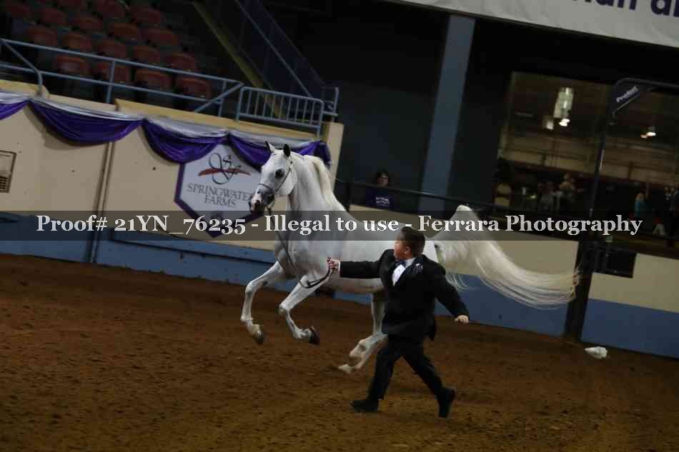Proof 21YN_76235