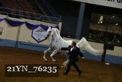21YN_76235 proof
