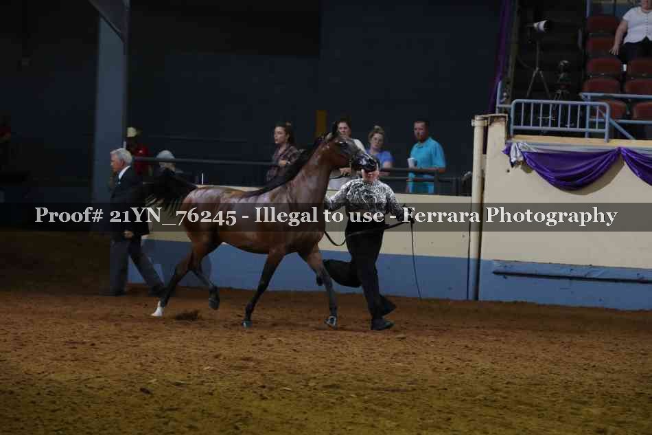 Proof 21YN_76245