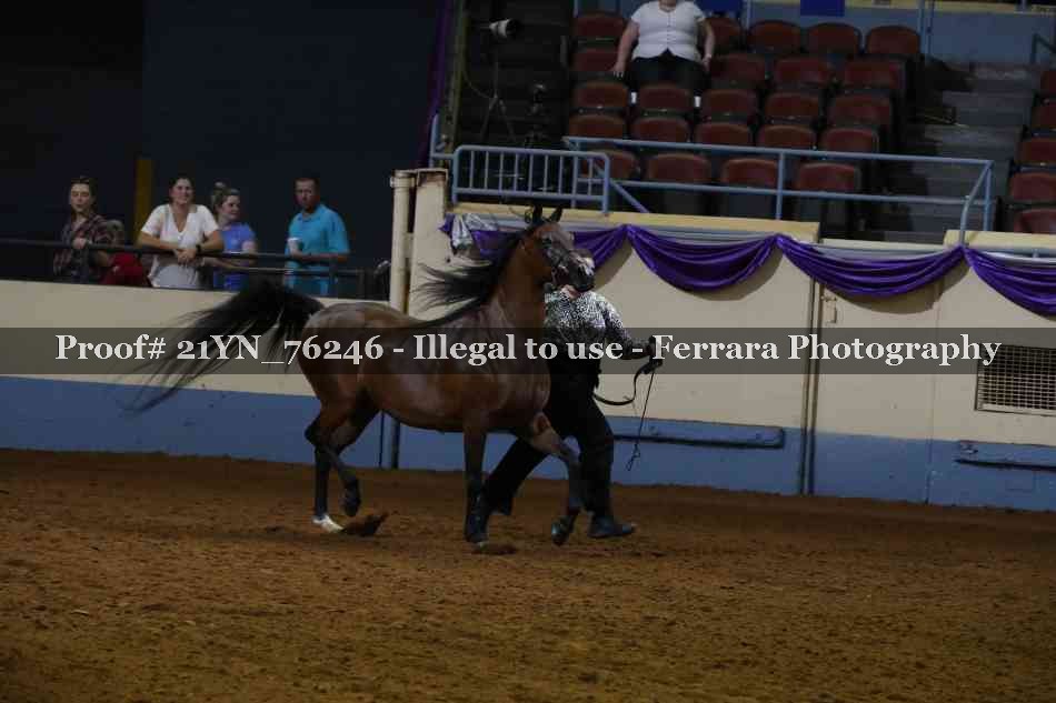 Proof 21YN_76246