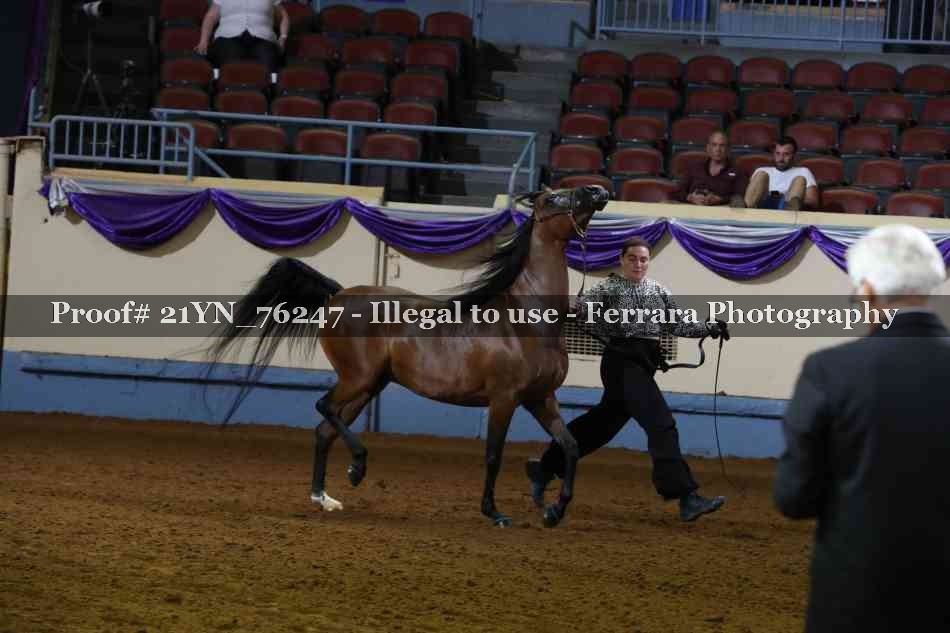 Proof 21YN_76247
