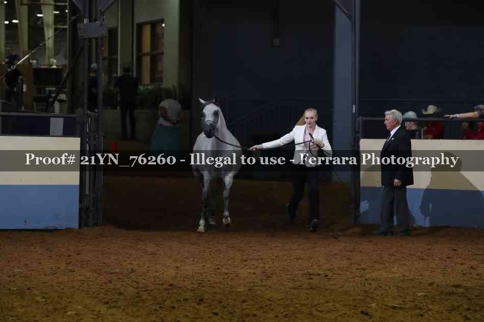 Proof 21YN_76260