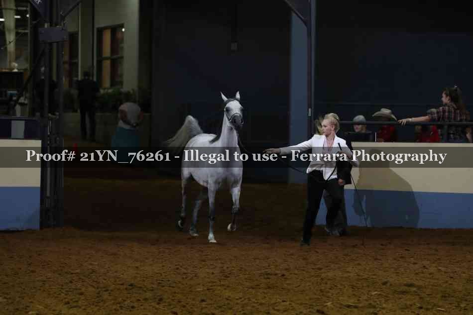 Proof 21YN_76261