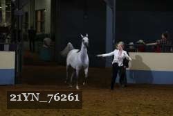 21YN_76261 proof