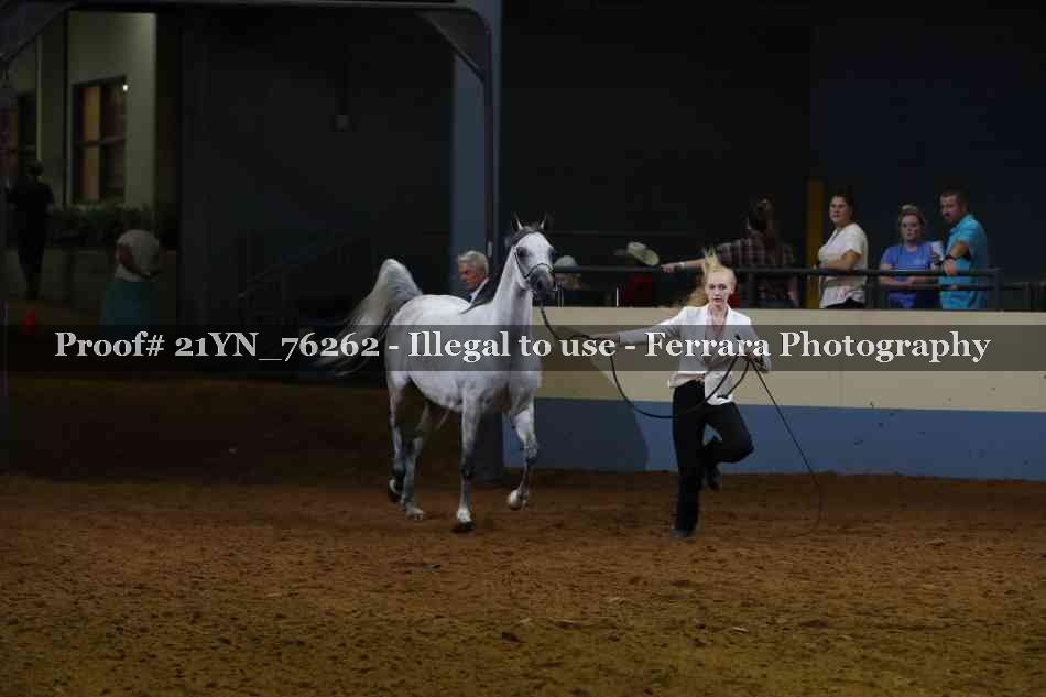 Proof 21YN_76262