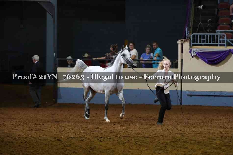 Proof 21YN_76263