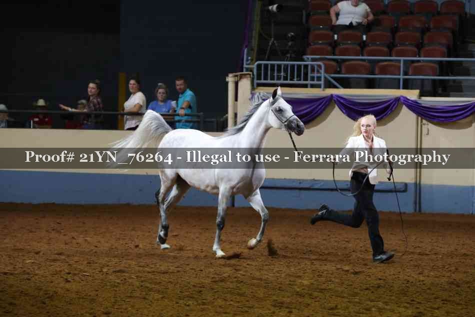 Proof 21YN_76264