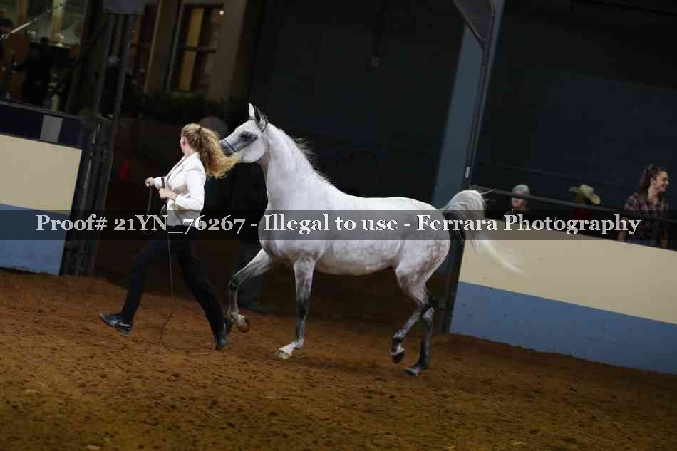 Proof 21YN_76267