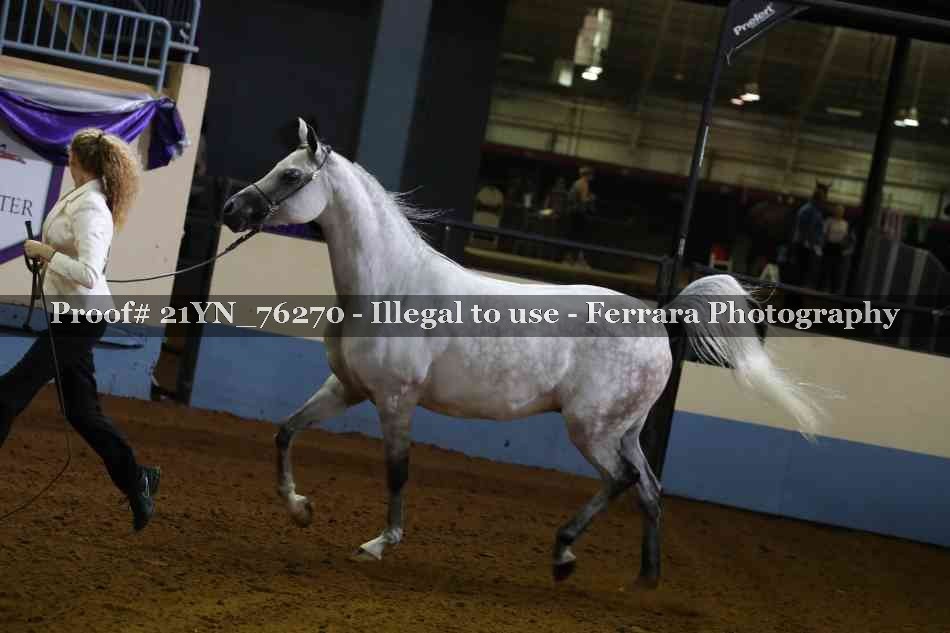 Proof 21YN_76270