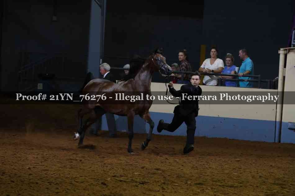 Proof 21YN_76276