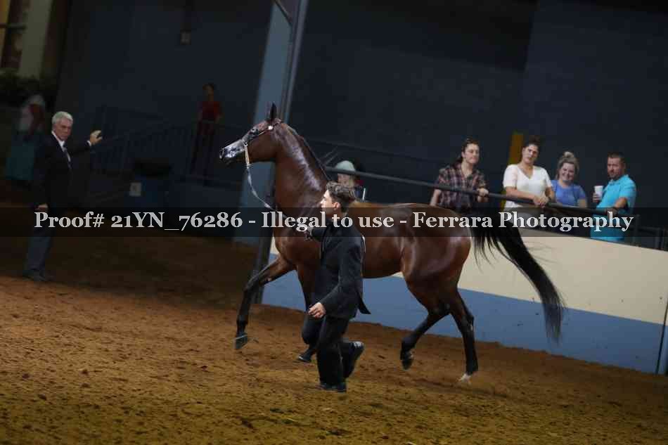 Proof 21YN_76286