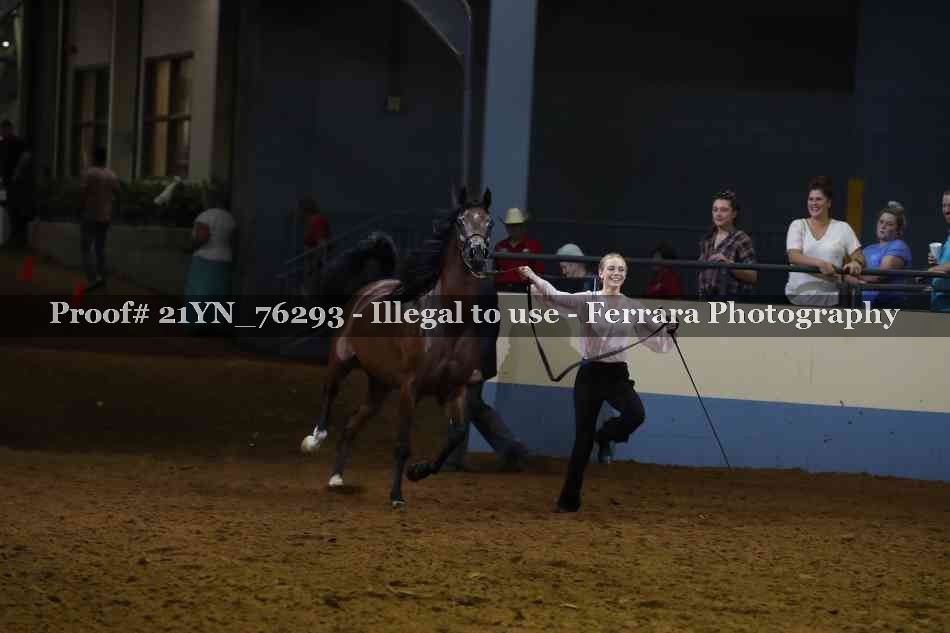 Proof 21YN_76293