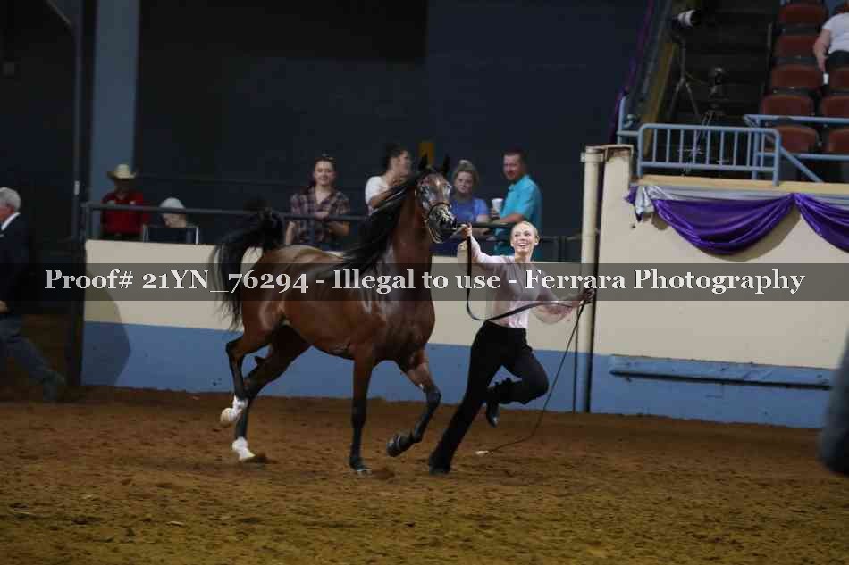 Proof 21YN_76294