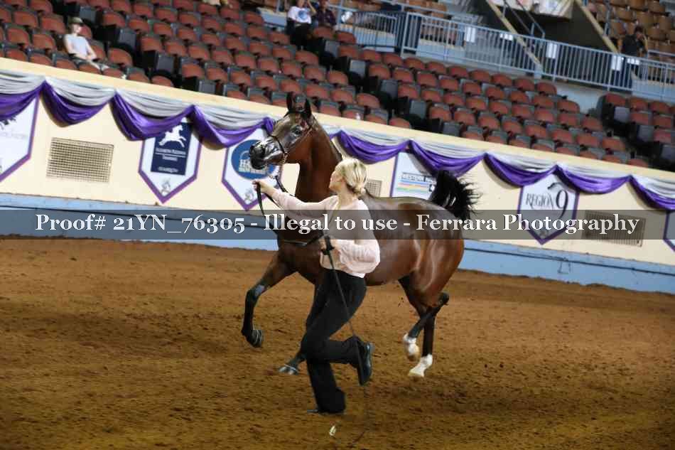Proof 21YN_76305