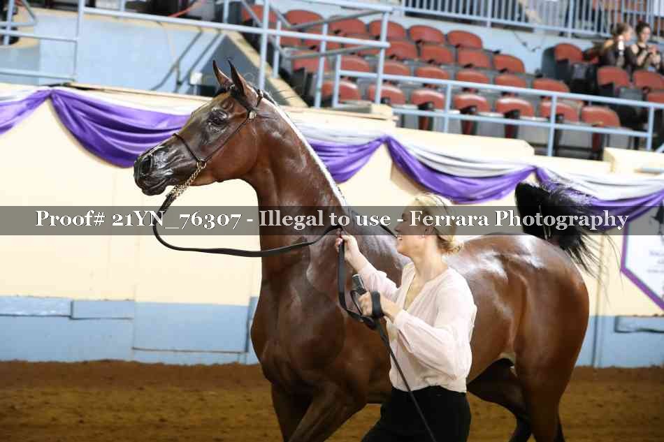 Proof 21YN_76307
