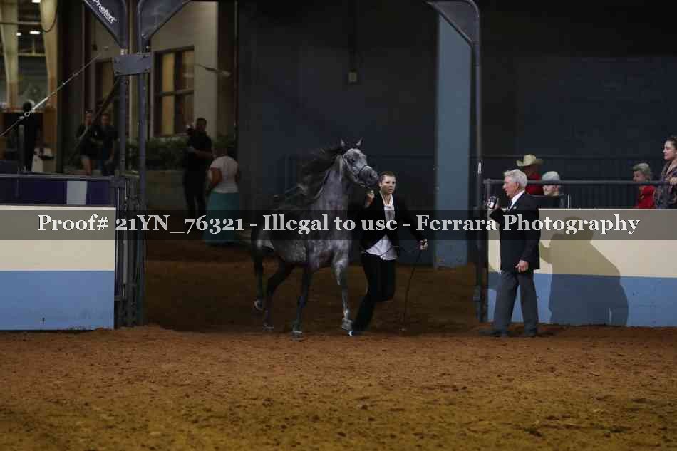 Proof 21YN_76321