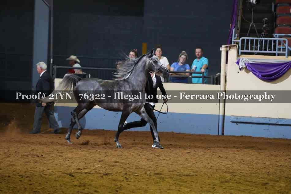 Proof 21YN_76322