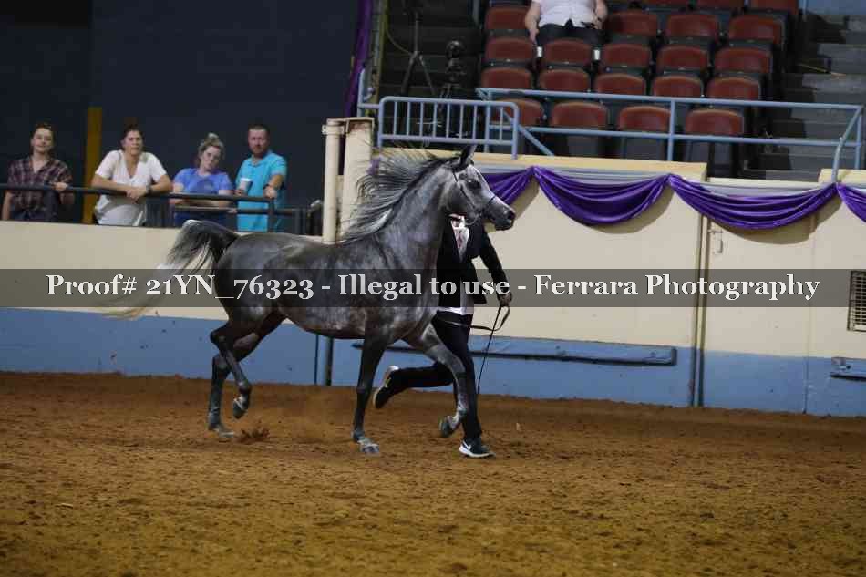 Proof 21YN_76323
