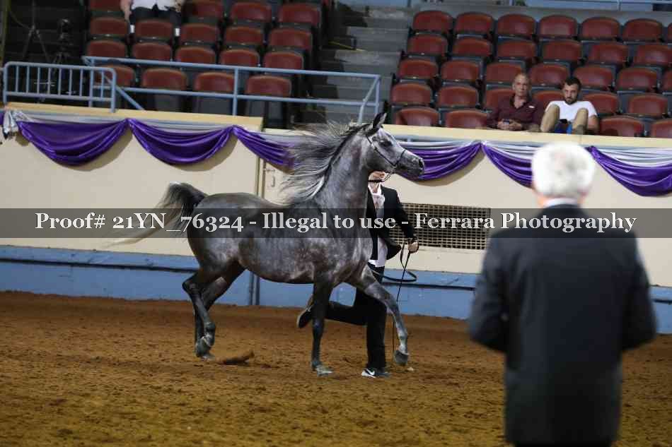Proof 21YN_76324