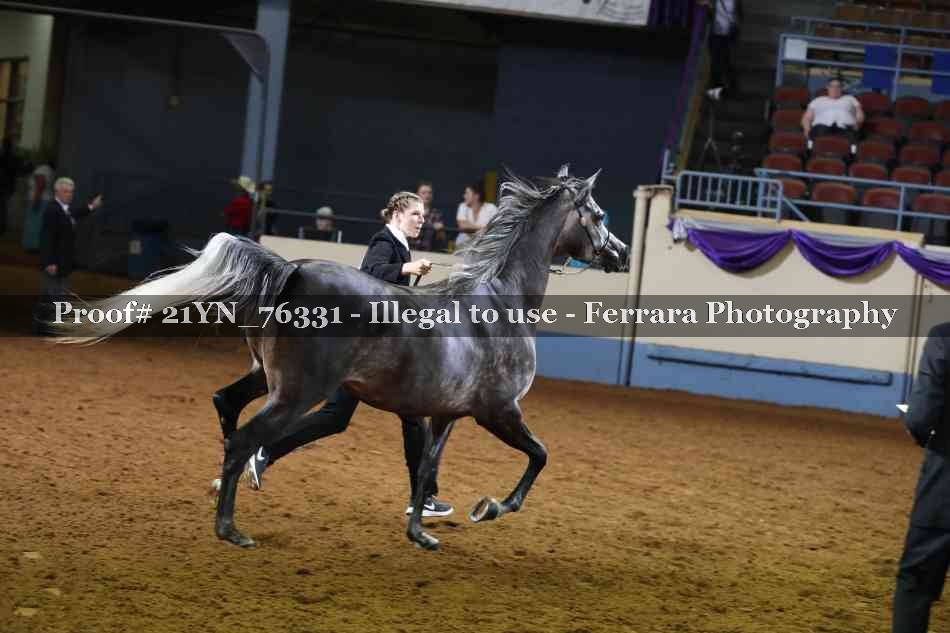 Proof 21YN_76331