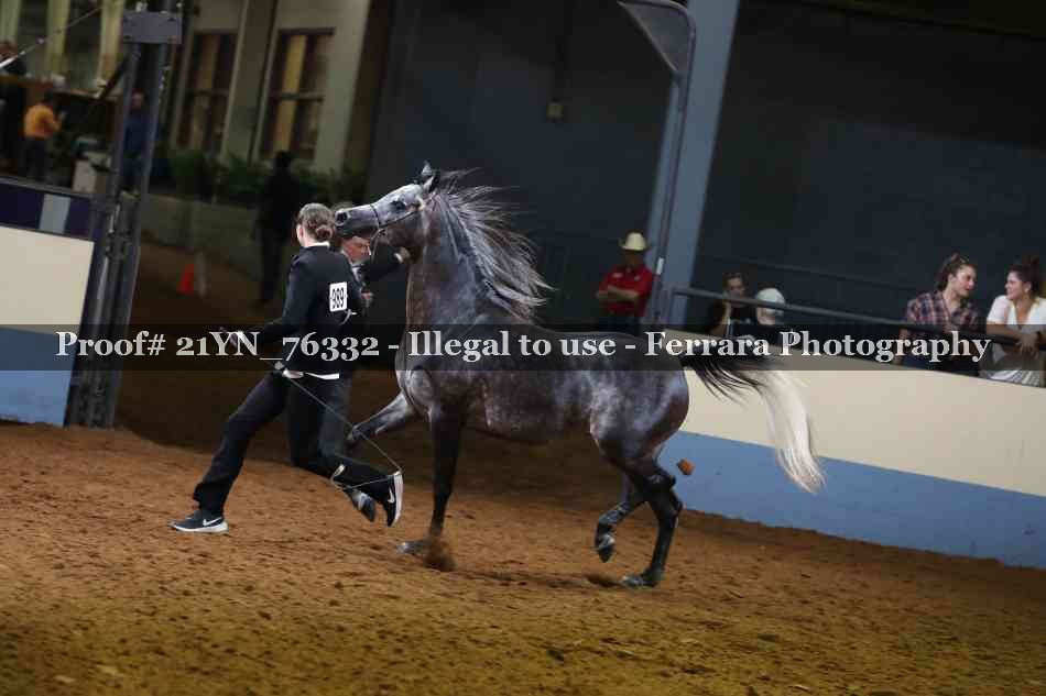 Proof 21YN_76332
