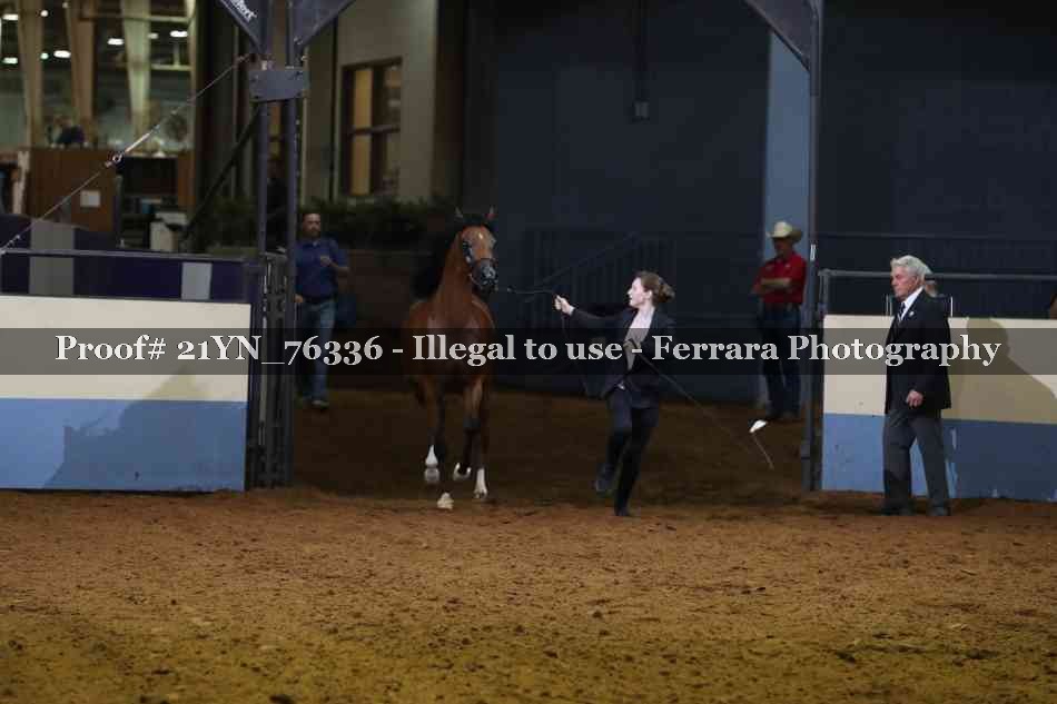 Proof 21YN_76336