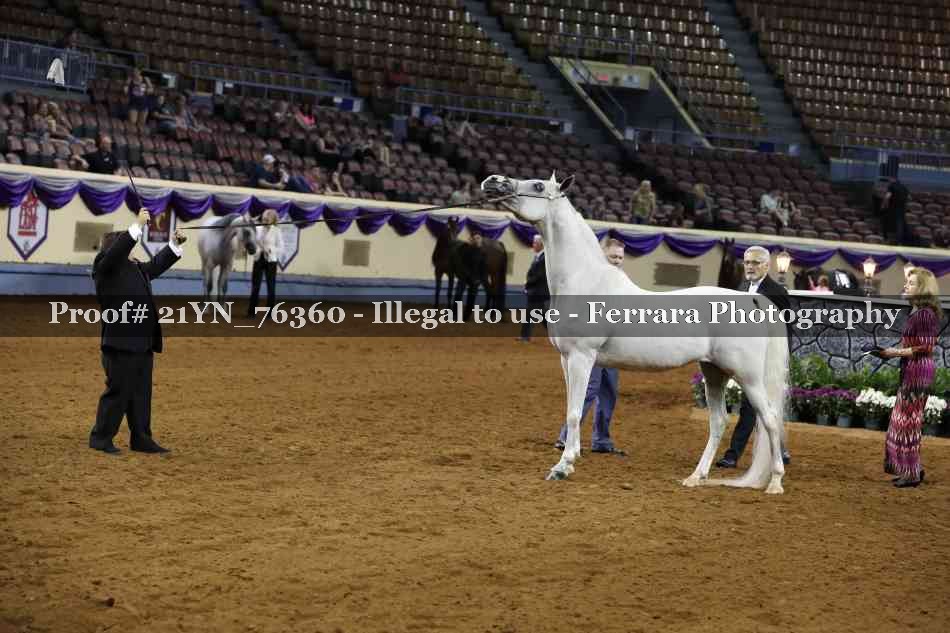 Proof 21YN_76360