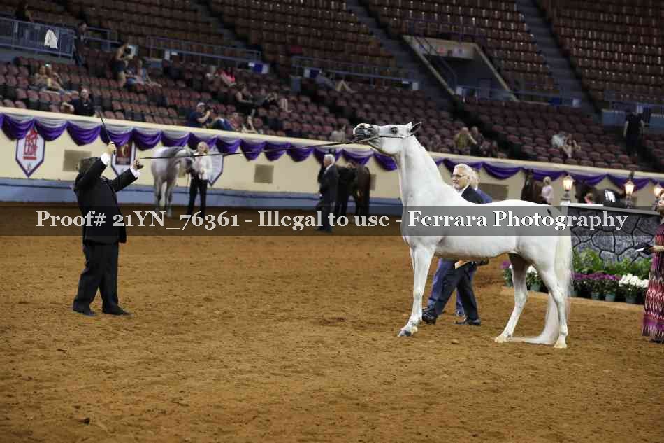 Proof 21YN_76361