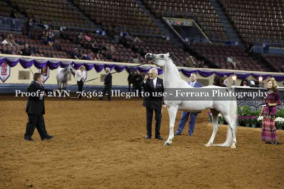 Proof 21YN_76362