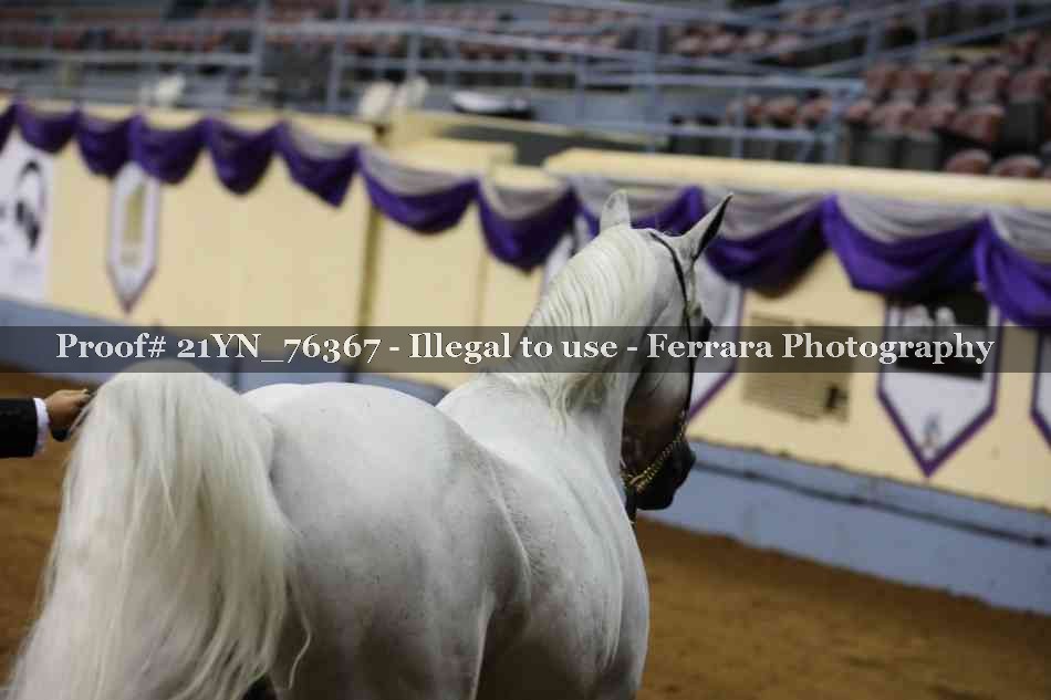 Proof 21YN_76367