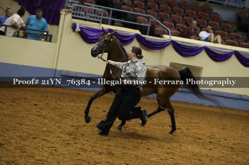 Proof 21YN_76384