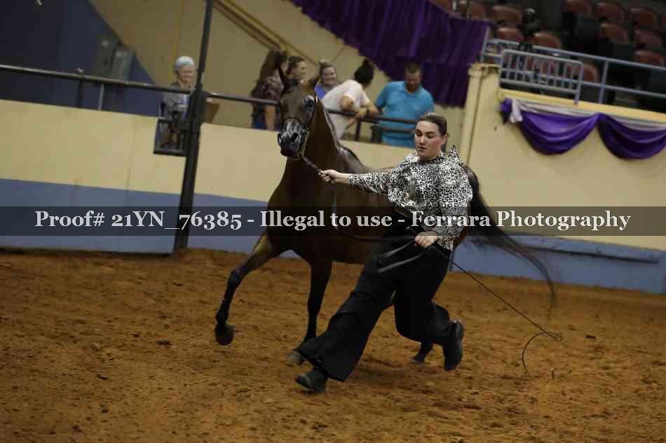 Proof 21YN_76385