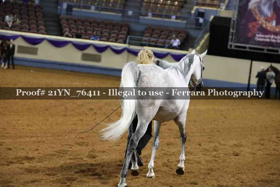 Proof 21YN_76411