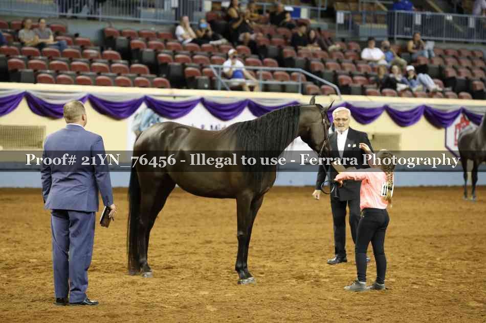 Proof 21YN_76456