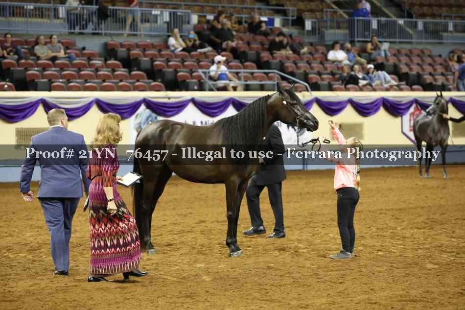 Proof 21YN_76457