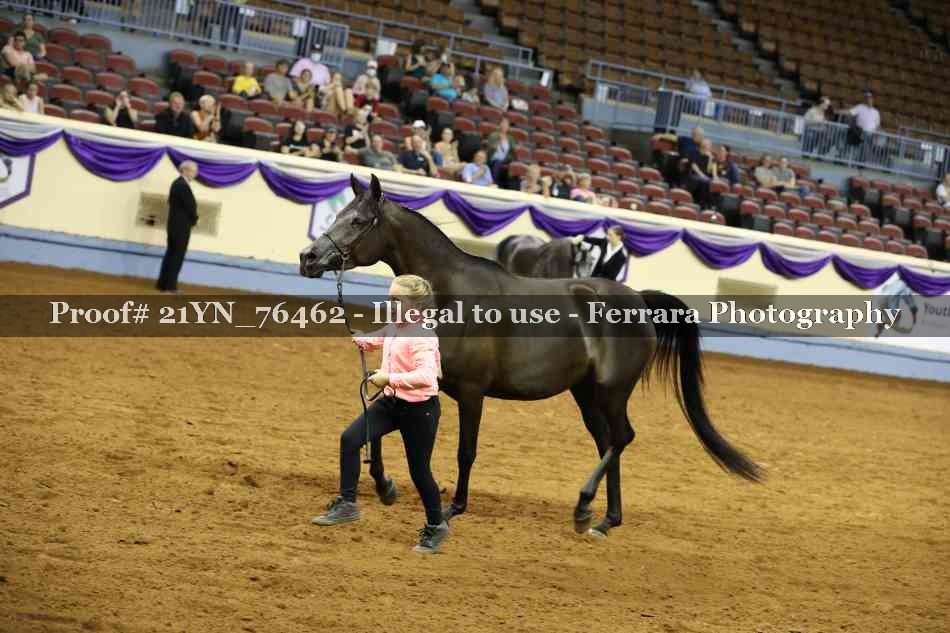 Proof 21YN_76462