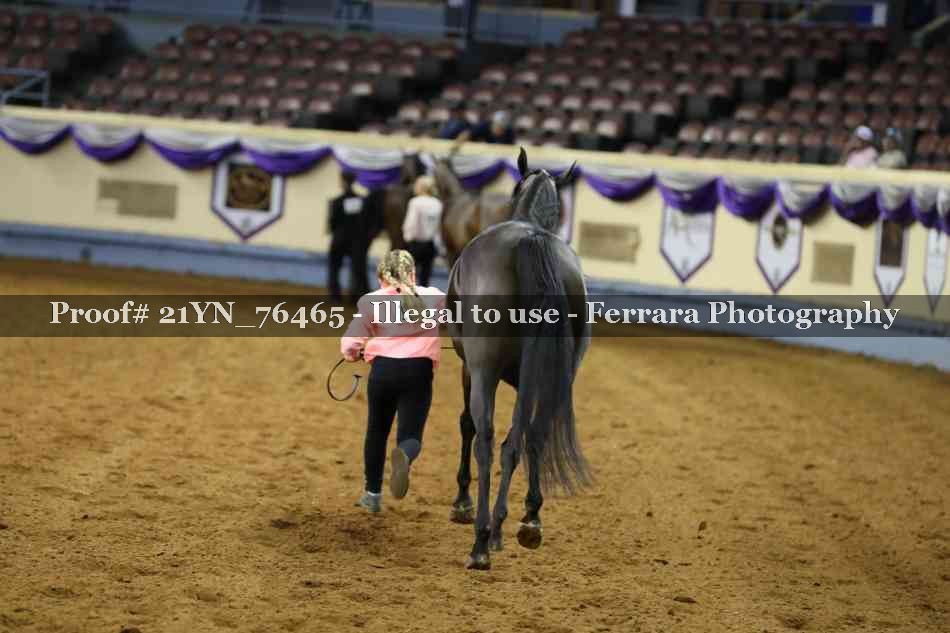 Proof 21YN_76465