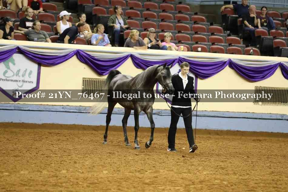 Proof 21YN_76467