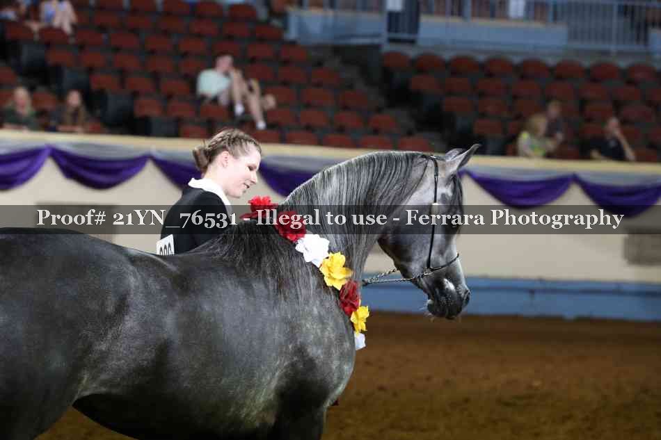 Proof 21YN_76531