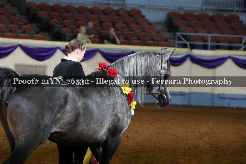 Proof 21YN_76532