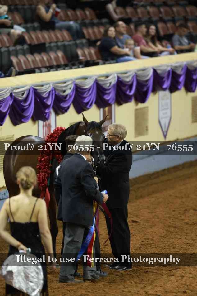 Proof 21YN_76555