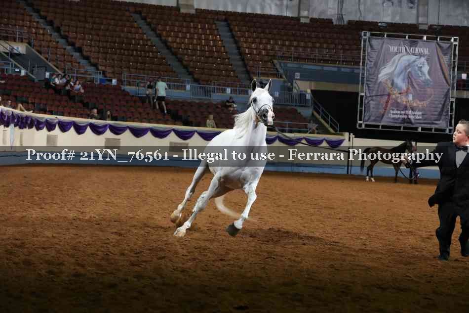Proof 21YN_76561