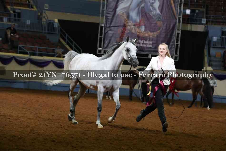 Proof 21YN_76571