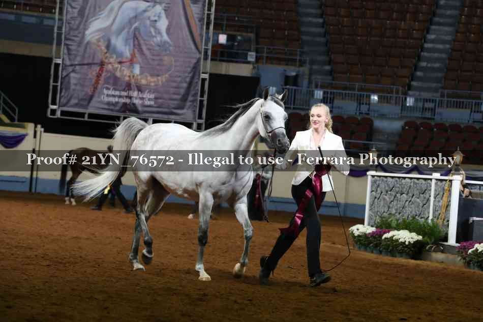 Proof 21YN_76572